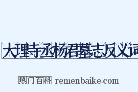 大理寺丞杨君墓志反义词是什么意思的图片